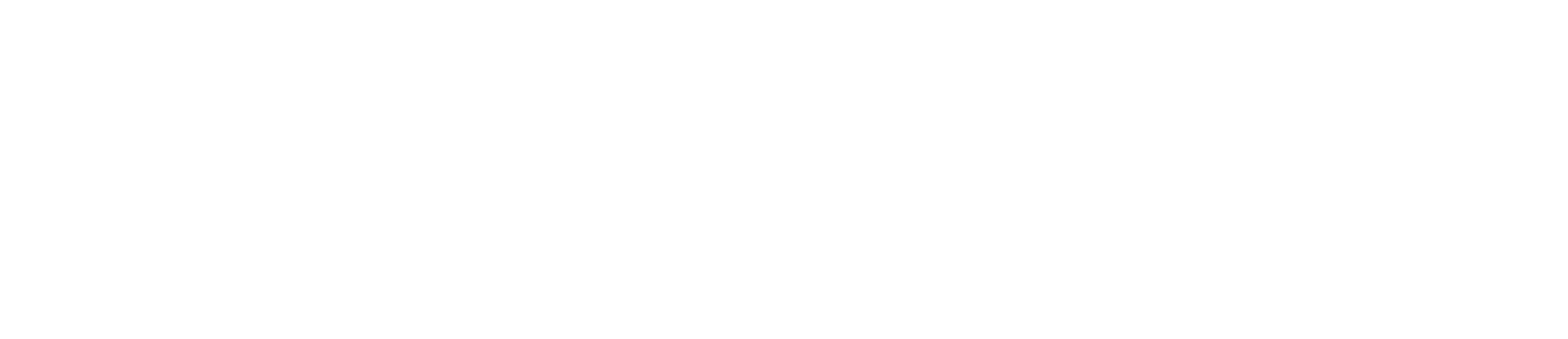 The Rule Architect